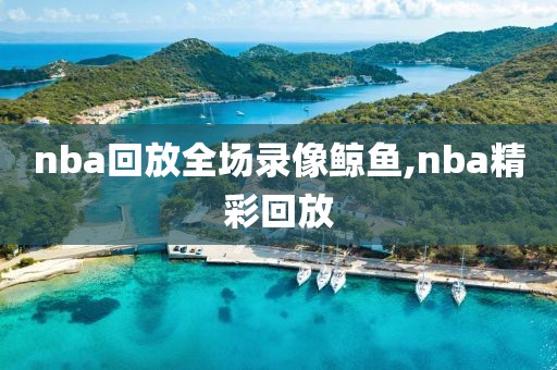 nba回放全场录像鲸鱼,nba精彩回放