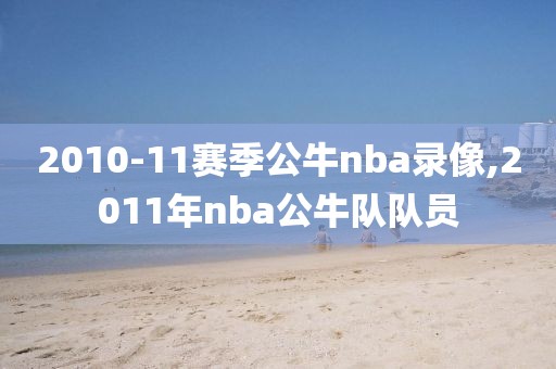 2010-11赛季公牛nba录像,2011年nba公牛队队员