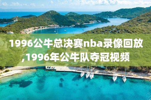 1996公牛总决赛nba录像回放,1996年公牛队夺冠视频