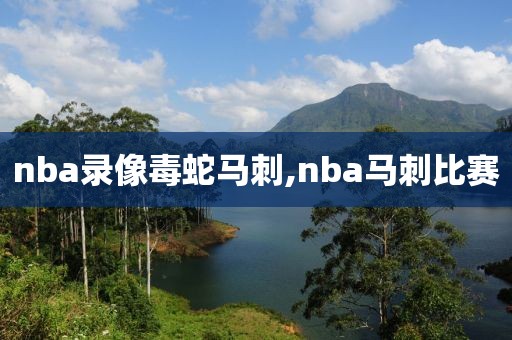 nba录像毒蛇马刺,nba马刺比赛