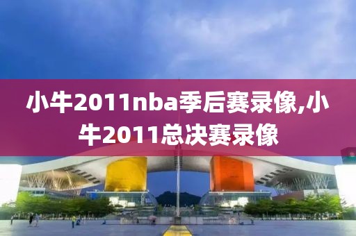 小牛2011nba季后赛录像,小牛2011总决赛录像