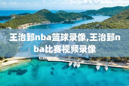 王治郅nba篮球录像,王治郅nba比赛视频录像