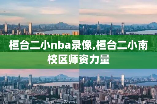 桓台二小nba录像,桓台二小南校区师资力量