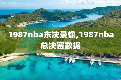 1987nba东决录像,1987nba总决赛数据