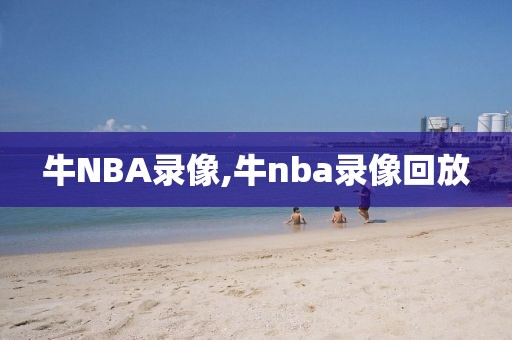 牛NBA录像,牛nba录像回放