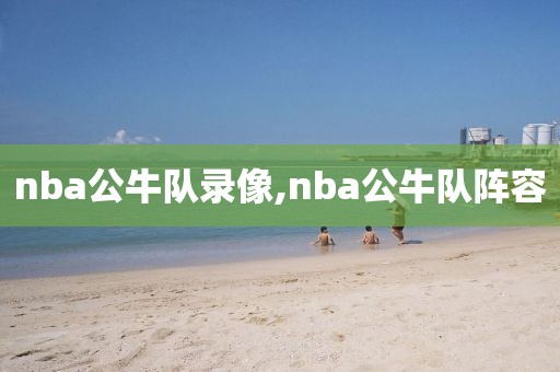 nba公牛队录像,nba公牛队阵容